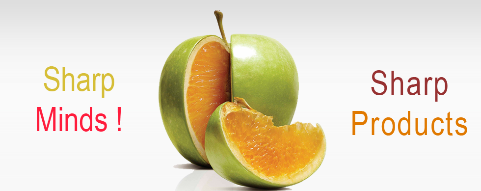 Web Designing Agency Australia